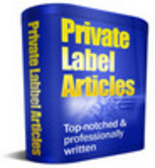 Product picture 15 PLR Articles - Topic Affiliate Success